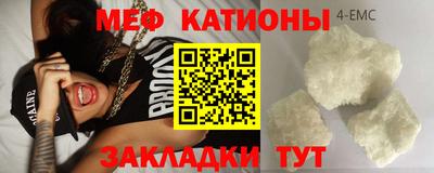 сатива Кингисепп
