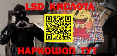 сатива Кингисепп