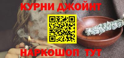 сатива Кингисепп