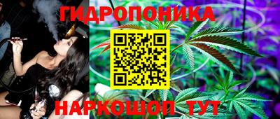 сатива Кингисепп