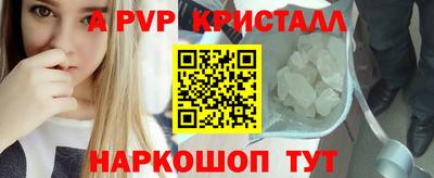 сатива Кингисепп