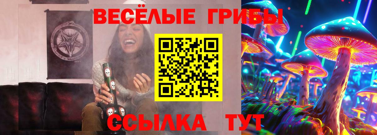 Галлюциногенные грибы мицелий Краснодар